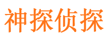 桃江寻人公司